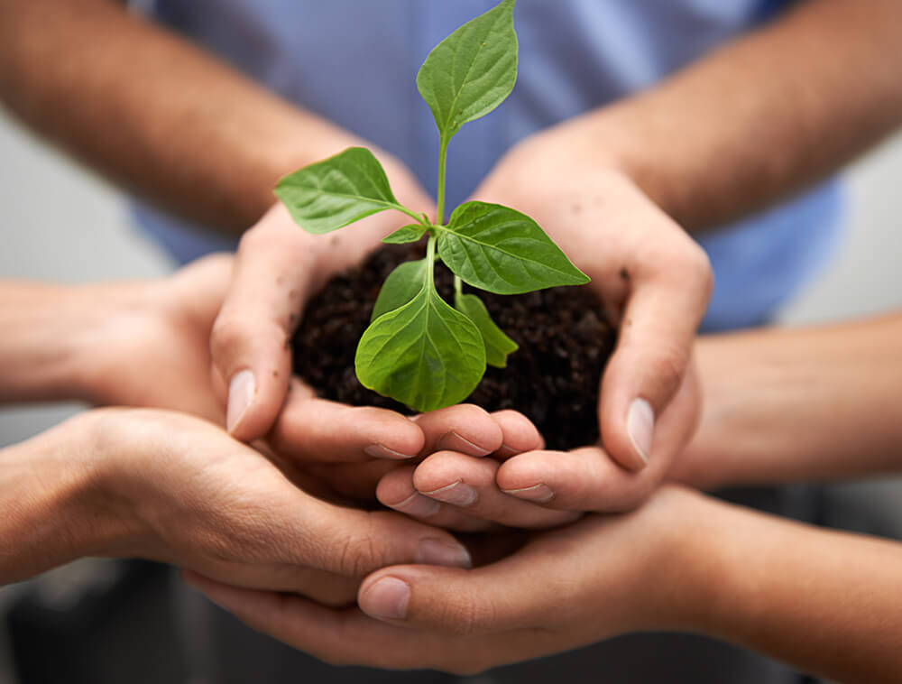Pro-environnement, écologique MBM Extermination Gestion Parasitaire