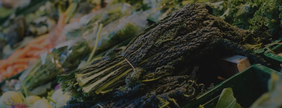 Epicerie MBM Extermination Gestion Parasitaire agroalimentaire
