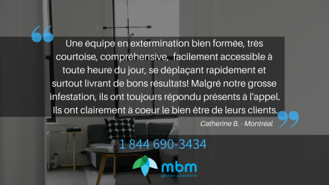 extermination-montreal-commentaire