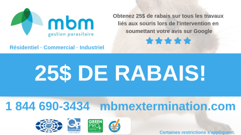 Promo souris