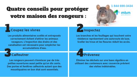 conseils protéger maison