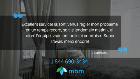 andreane-commentaire-mbm