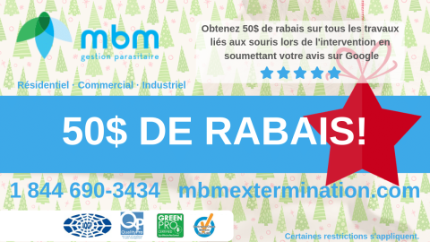 Promotion-souris-50-mbm