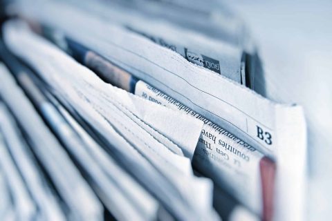 article-de-blog-mbm-gestion-parasitaire-helene-bouchard